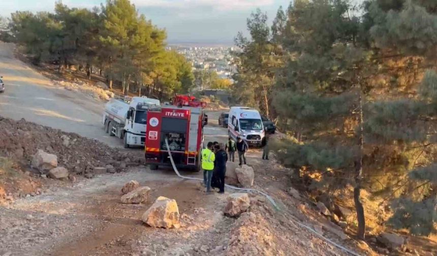 Ormanlık alanda çıkan yangın korkuttu