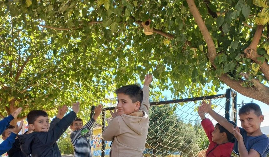 Silvan’da kuş yuvaları ile ekosisteme katkı