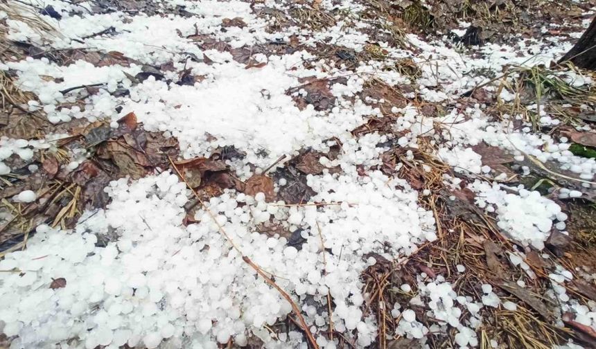 Bitlis’te dolu yağışı etkili oldu