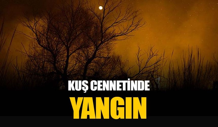Osmaniye'deki Kastabala Kuş Cenneti'nde yangın sabaha kadar sürdü