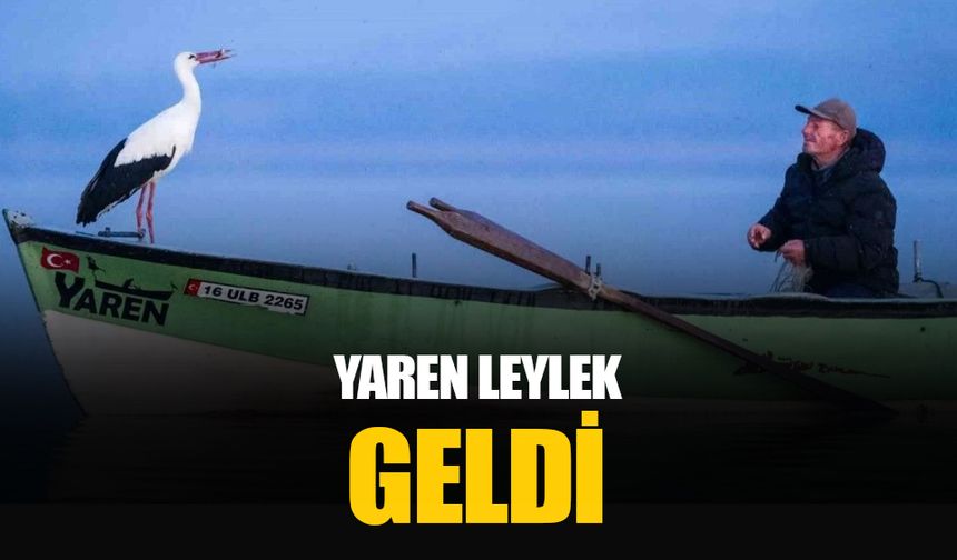 Yaren leylek geldi: Bütün dünya onu bekliyordu