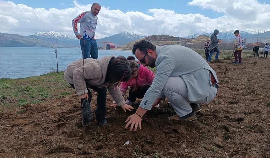 Bitlis'te badem fidanları toprakla buluşturuldu