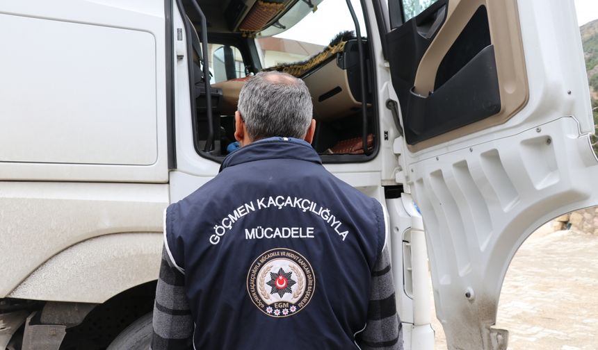 Canlı hayvan taşıyan tırlarda 5 düzensiz göçmen yakalandı