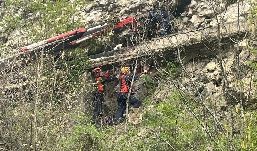 Karabük'te kayalık alana düşen inek kurtarıldı