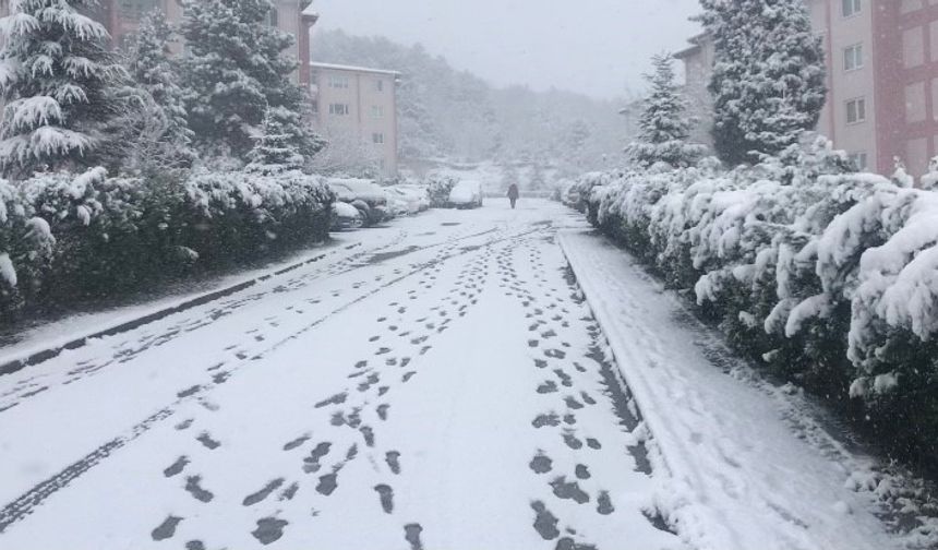 Bilecik’teki kar bazı köy yollarını ulaşıma kapattı