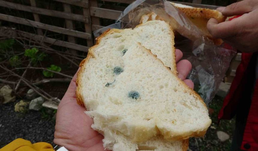 Ordu’da satın aldığı ekmek küflü ve çift etiketli çıktı, şikayetçi oldu