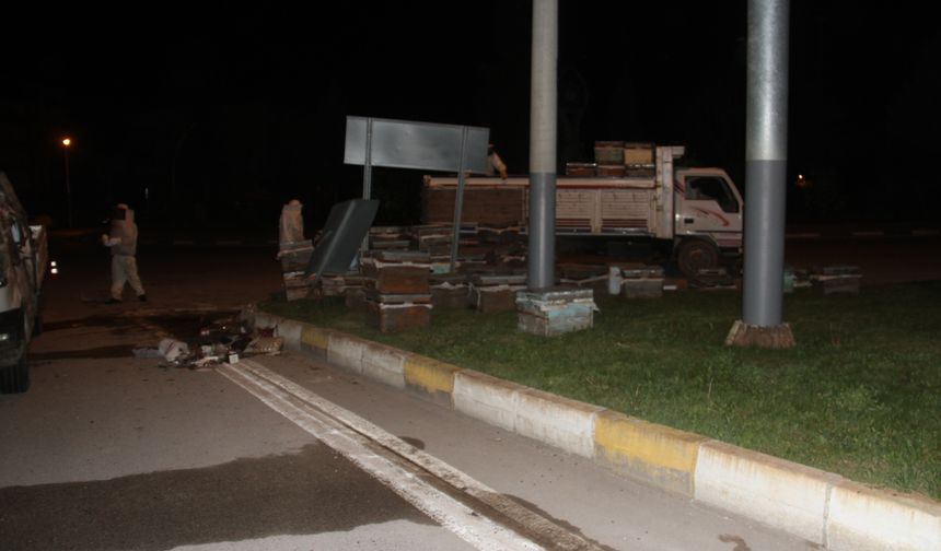 Konya'da arı kovanı yüklü kamyonet devrildi