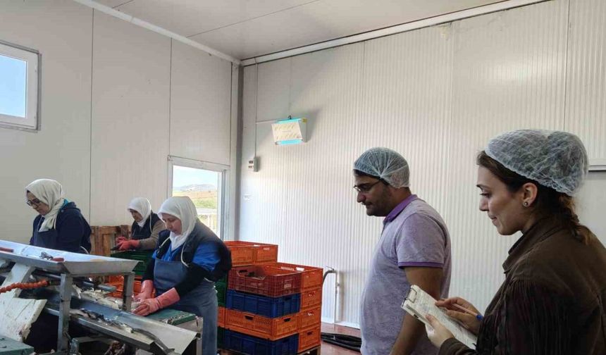 Beyşehir Gölüne kıyısı olan ilçedeki balık fabrikaları denetlendi