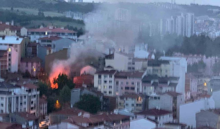 Bilecik İsmetpaşa'da çıkan yangın korku dolu anlara neden oldu