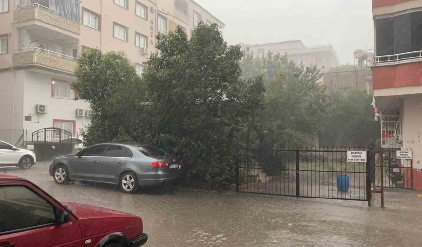 Osmaniye’de fırtına etkili oldu: Düziçi'nde ağaçları kökünden söktü