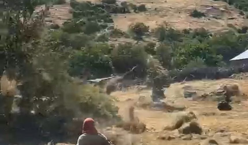 Bingöl’de hortum otları uçurdu