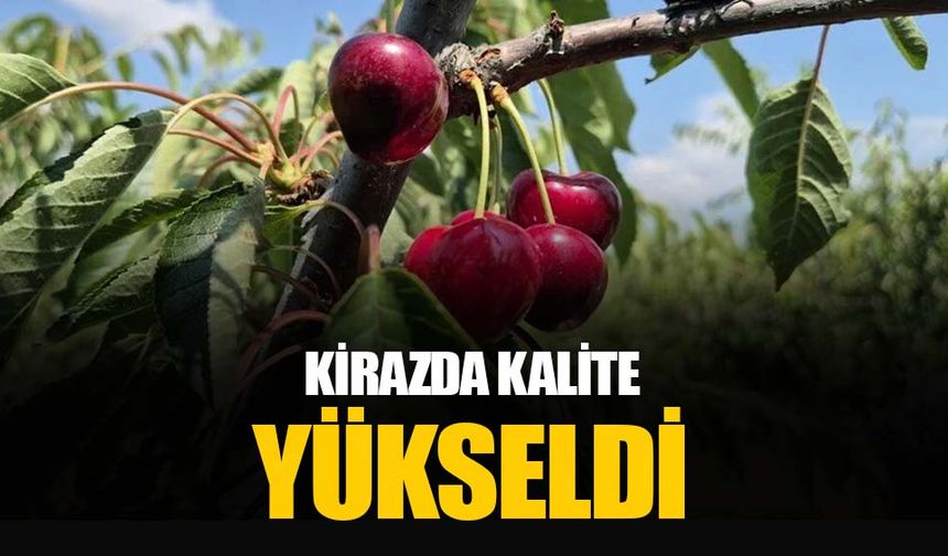 Kirazda kalite yükseldi: Tekirdağ’da 3 bin ton rekolte beklentisi