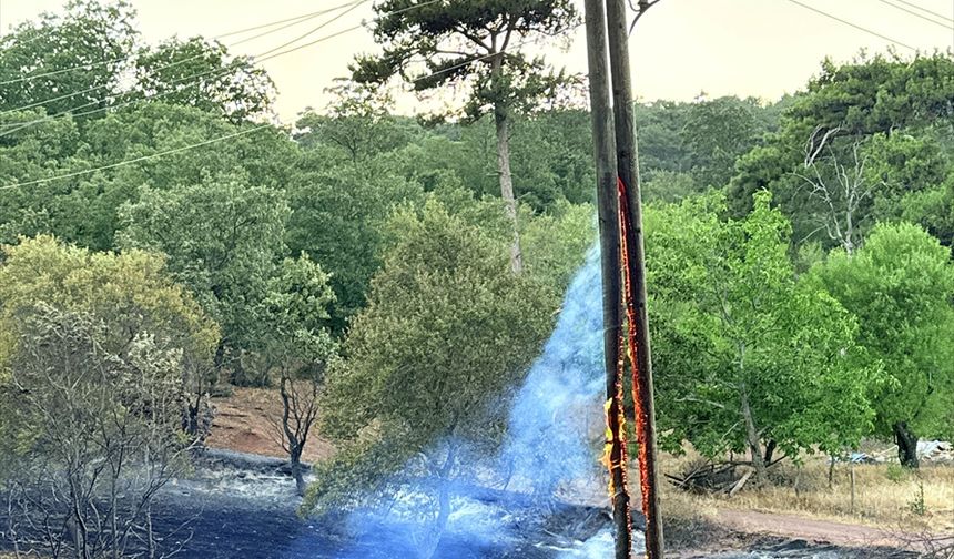 Manisa Akhisar'da çıkan orman yangını kontrol altına alındı