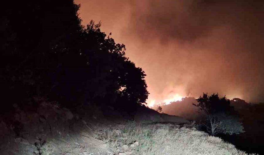 Manisa’nın Köprübaşı ilçesinde orman yangını