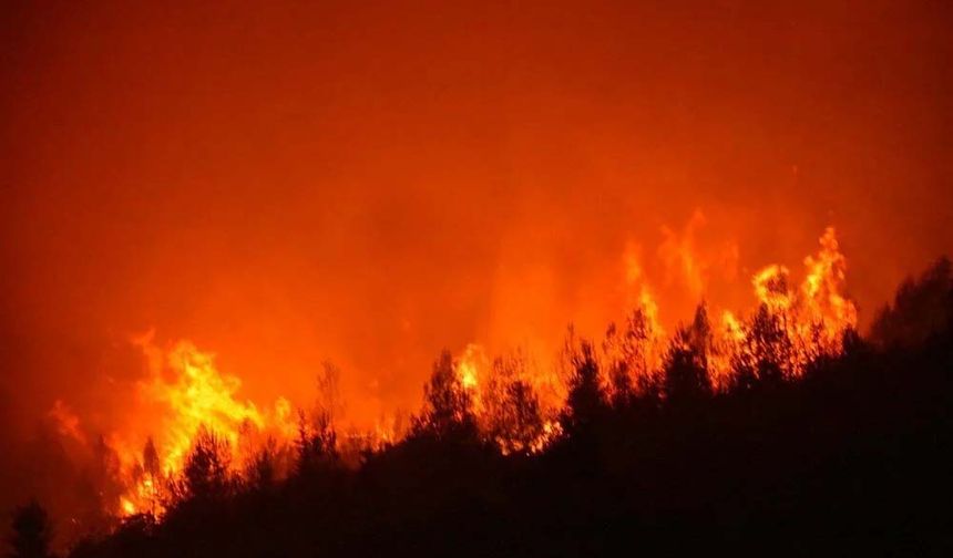 Malatya’da iki ayrı yangın çıktı