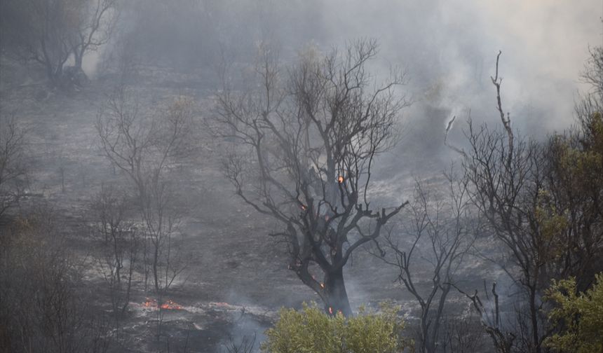 Manisa'da tarım arazisinde çıkan yangın makilik alana sıçradı