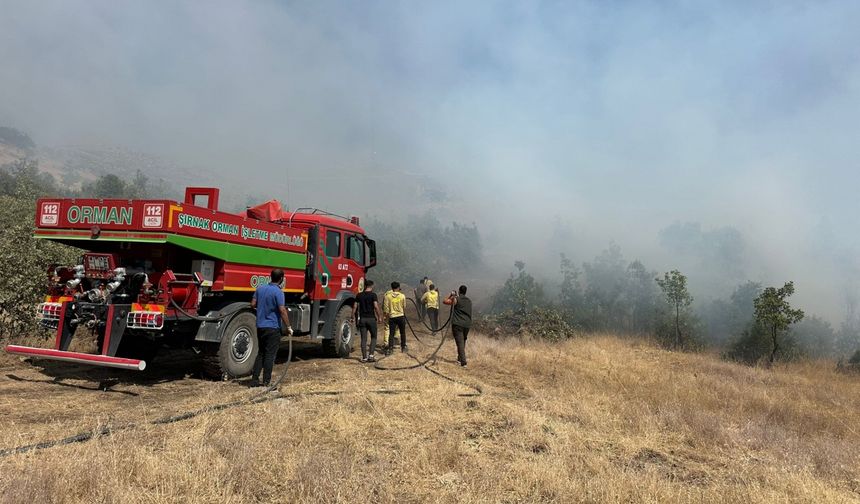 Şırnak'ta orman ve örtü yangını çıktı
