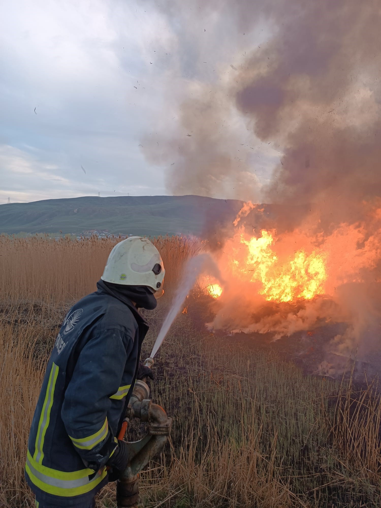 Van’ın Saray, Erciş ve Muradiye ilçesi sınırları içerisinde bulunan, birçok yabani ve göçmen kuşun uğrak noktası olan sazlık alanlar 1 haftadır yangınlarda zarar gördü.