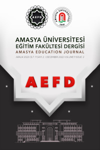 Amasya Üniversitesi Eğitim fakültesi Dergisi