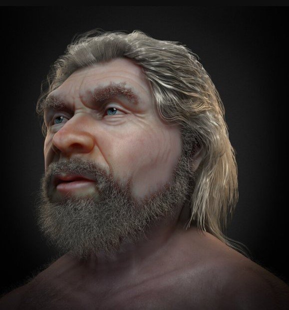 neanderthal3