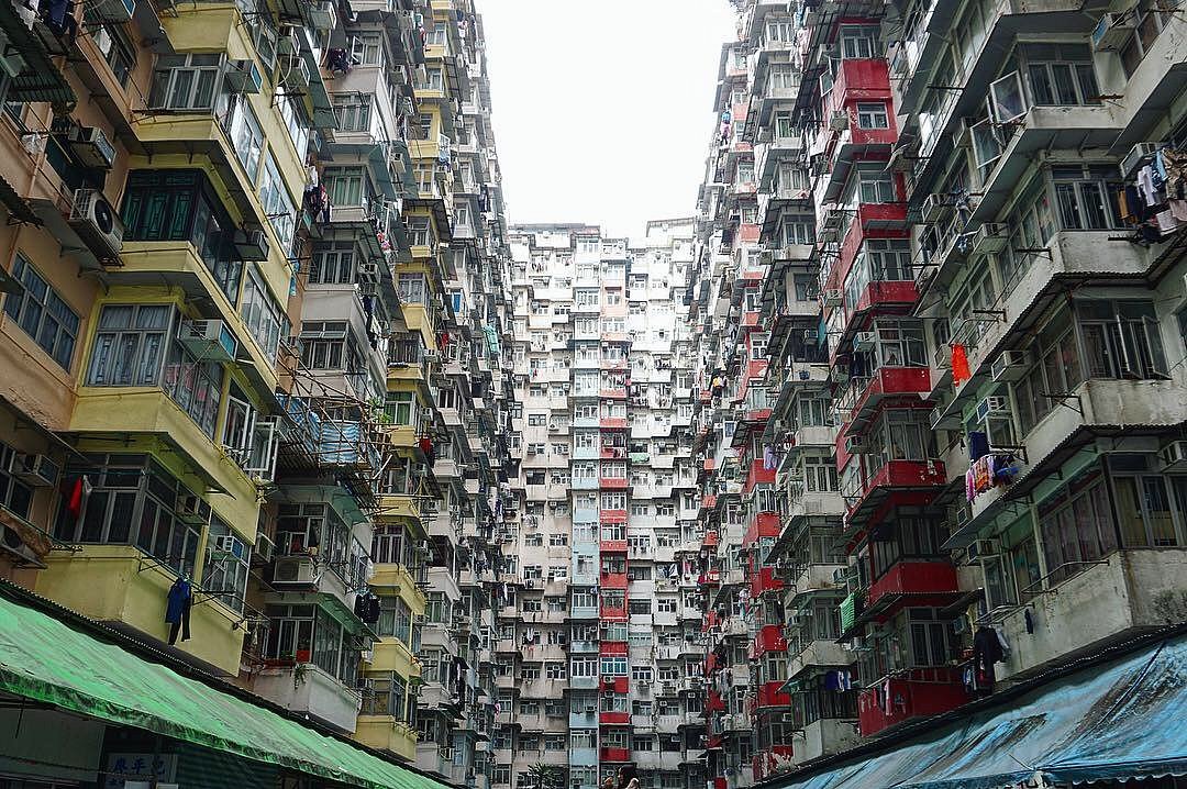 Canavar Bina Hong Kong