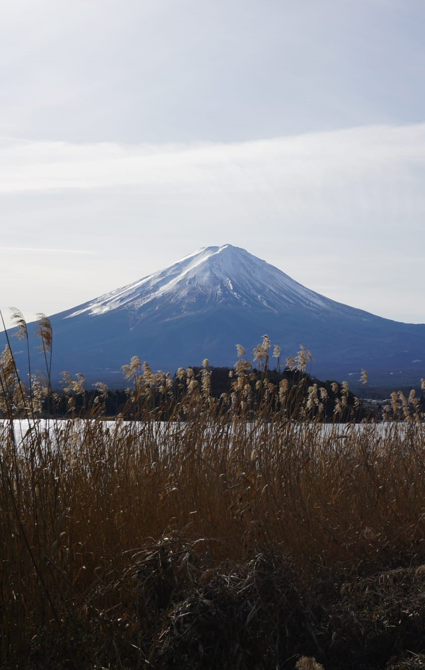 Fuji Dağı 1